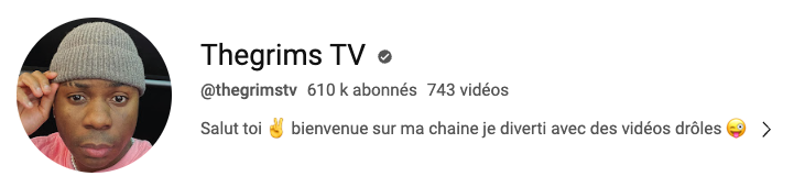 Capture de la chaîne Thegrims TV